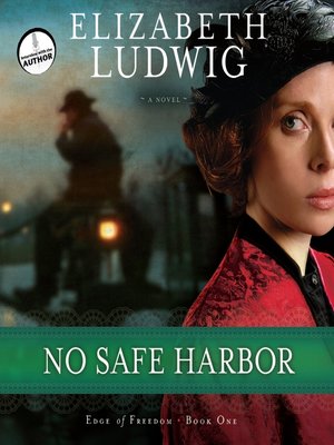 cover image of No Safe Harbor